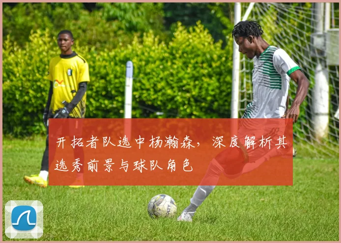 开拓者队选中杨瀚森,深度解析其选秀前景与球队角色