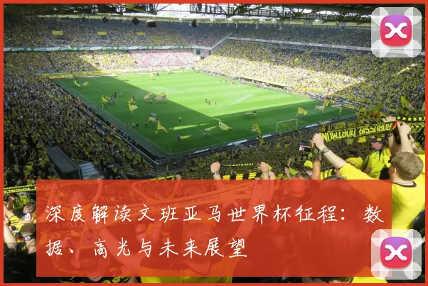 深度解读文班亚马世界杯征程:数据、高光与未来展望