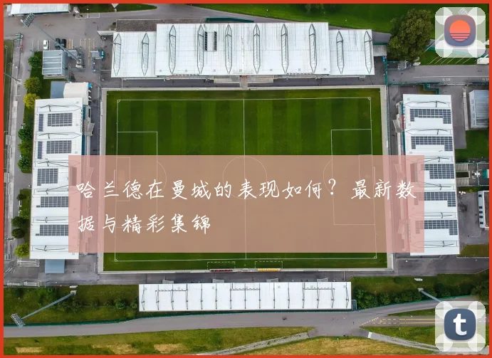 哈兰德在曼城的表现如何?最新数据与精彩集锦